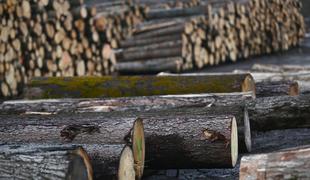 V Ormožu velika novost v lesni industriji 