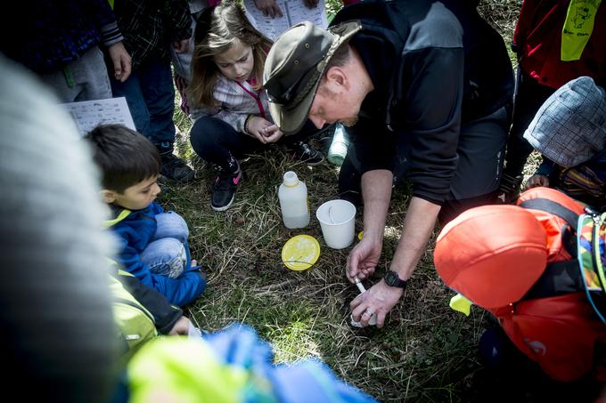 Marolt je z mešanico gipsa in vode zalil sled, odtis pa izročil otrokom za spomin na šolo v naravi. | Foto: Ana Kovač